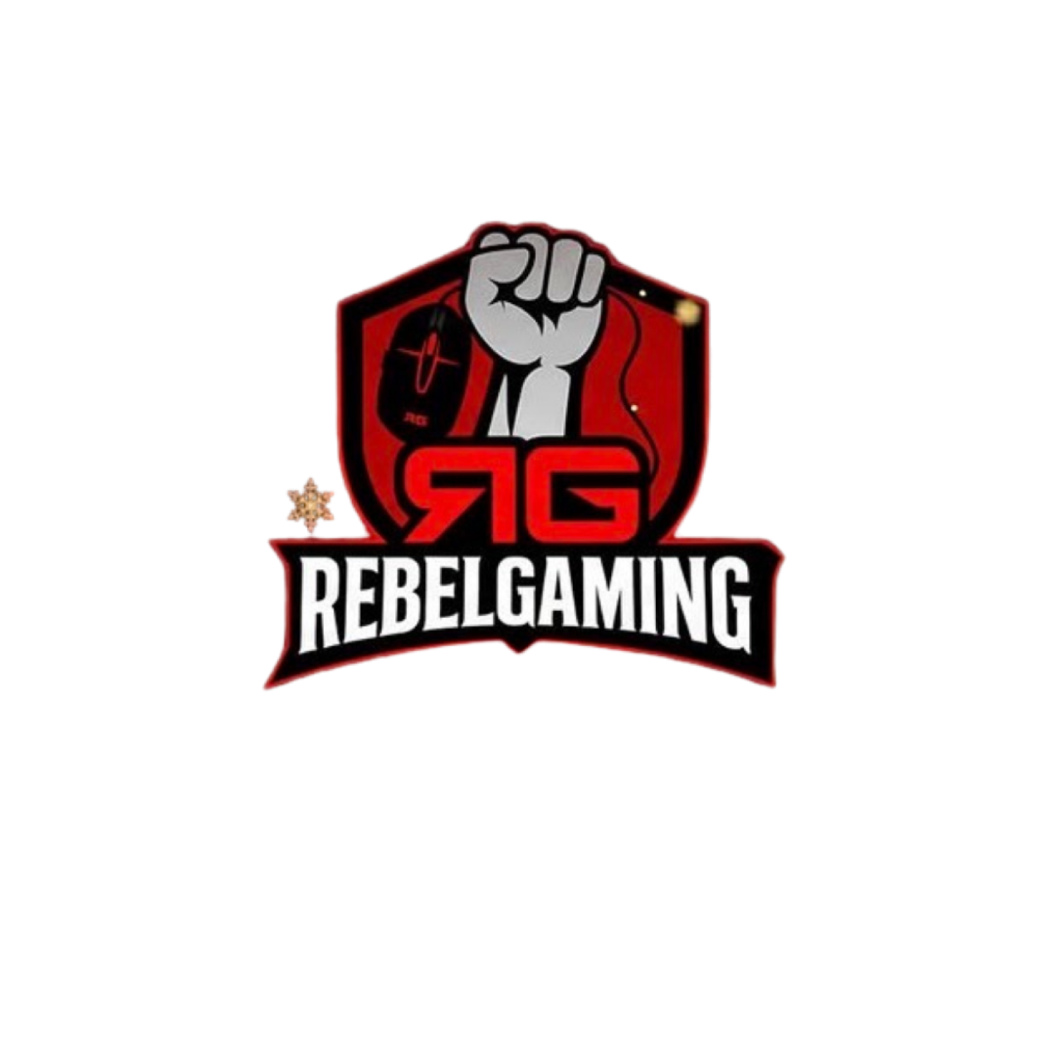 Rebelgaming partner