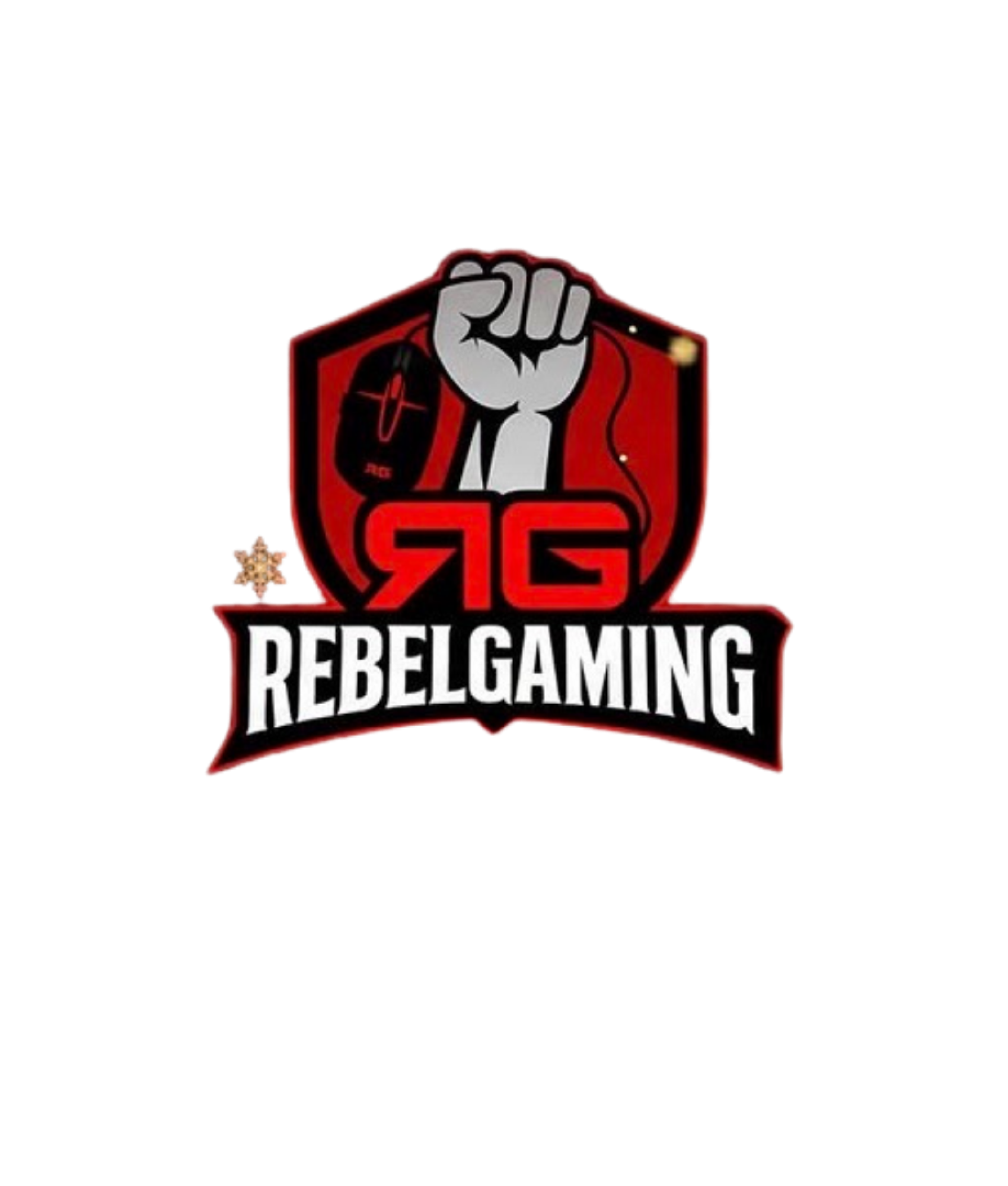 Rebelgaming partner
